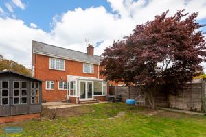 Rear Garden- click for photo gallery